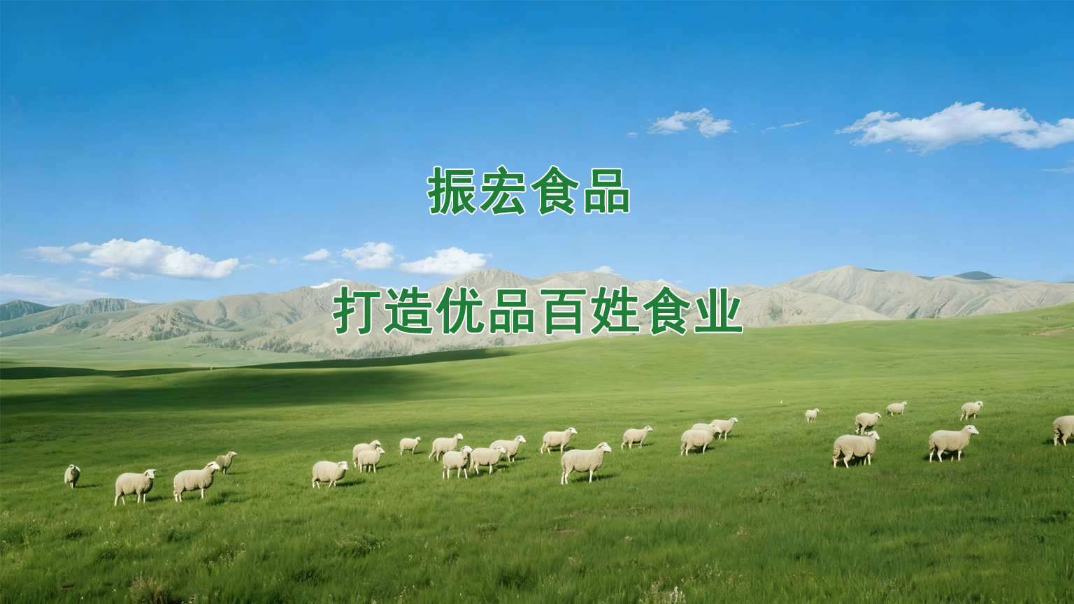 振宏食品