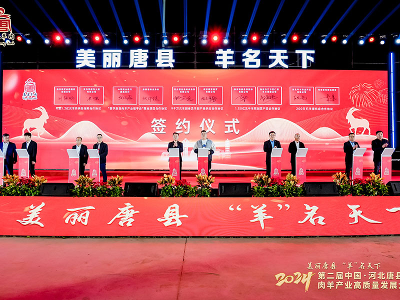 GAO09282-opq3223609787.jpg